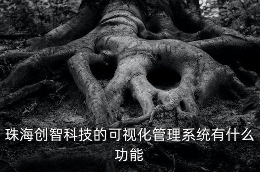 珠海創(chuàng)智科技的可視化管理系統(tǒng)有什么功能
