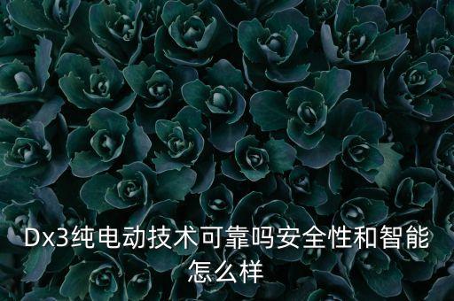 Dx3純電動(dòng)技術(shù)可靠嗎安全性和智能怎么樣