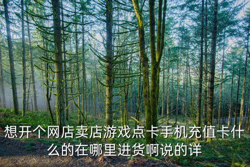 想開個網(wǎng)店賣店游戲點卡手機充值卡什么的在哪里進貨啊說的詳