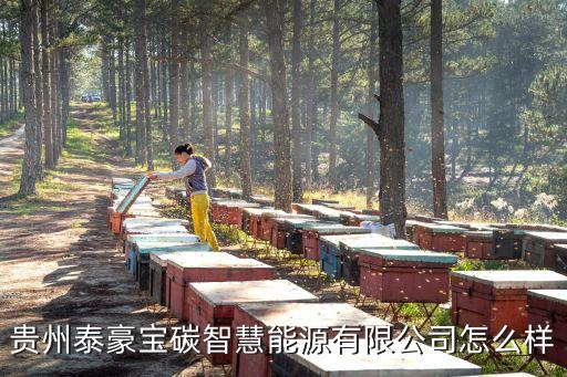 碳紀(jì)智能科技公司怎么樣，東莞德文電子科技有限公司怎么樣主要業(yè)務(wù)范圍有哪些