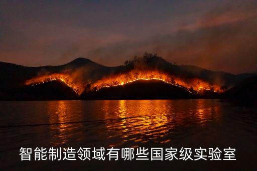 智能制造領(lǐng)域有哪些國家級實(shí)驗(yàn)室