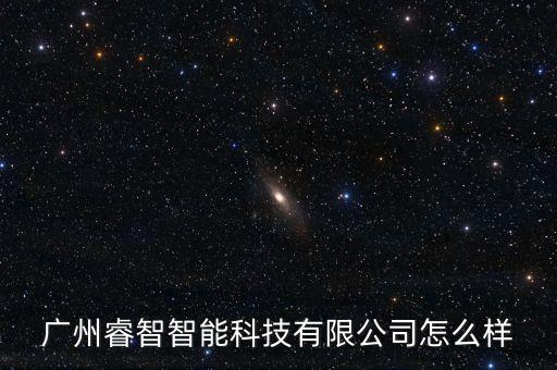 廣州睿智智能科技有限公司怎么樣