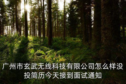 廣州市玄武無線科技有限公司怎么樣沒投簡歷今天接到面試通知