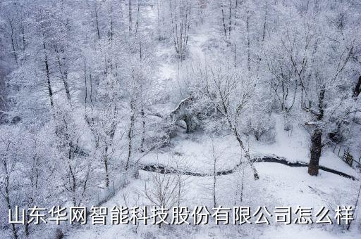 山東華網(wǎng)智能科技股份有限公司怎么樣
