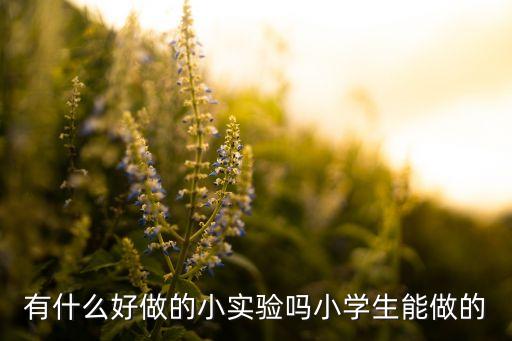 有什么好做的小實(shí)驗(yàn)嗎小學(xué)生能做的