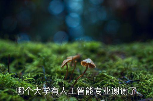 哪個(gè)大學(xué)有人工智能專業(yè)謝謝了