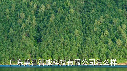 廣東美智智能科技有限公司怎么樣