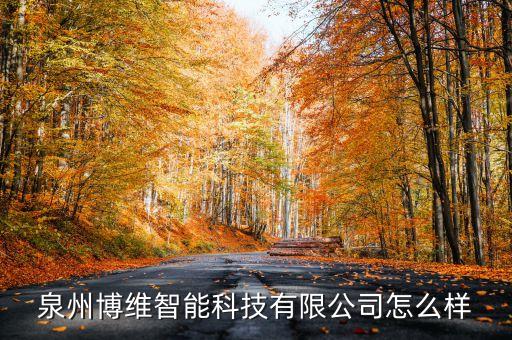 泉州博維智能科技有限公司怎么樣