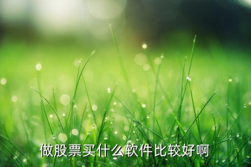 做股票買什么軟件比較好啊