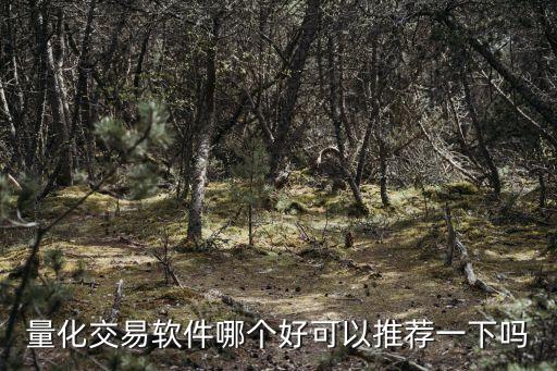 量化交易軟件哪個(gè)好可以推薦一下嗎