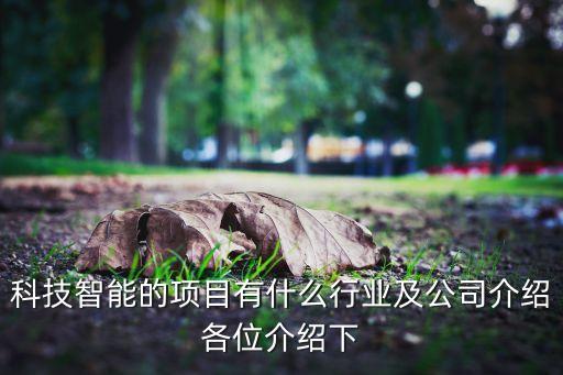 科技智能的項(xiàng)目有什么行業(yè)及公司介紹各位介紹下