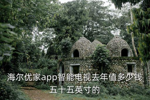 海爾優(yōu)家app智能電視去年值多少錢五十五英寸的