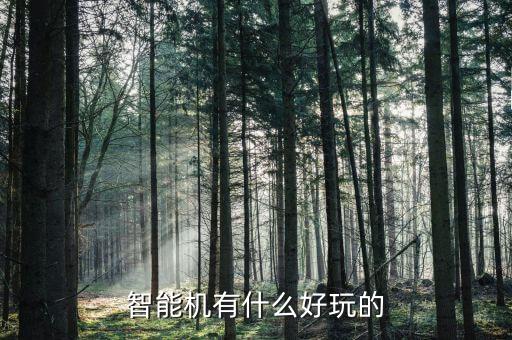 智能科技有哪些好玩的，智能機有什么好玩的