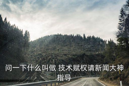 科技賦能什么意思，問(wèn)一下什么叫做 技術(shù)賦權(quán)請(qǐng)新聞大神指導(dǎo)