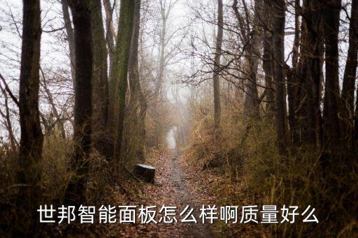 世邦智能面板怎么樣啊質(zhì)量好么