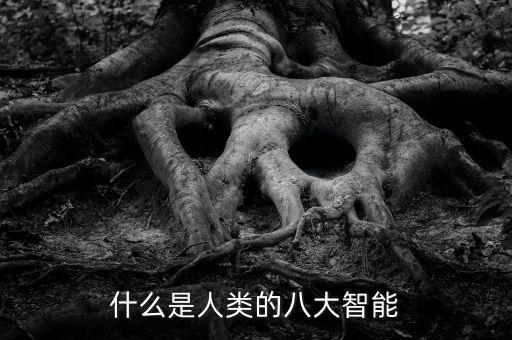 八大智能科技是什么概念，什么是人類的八大智能