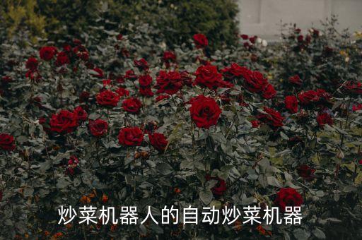 機器人炒菜機，你用過機器人炒菜機嗎好使么
