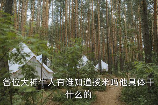 各位大神牛人有誰知道授米嗎他具體干什么的