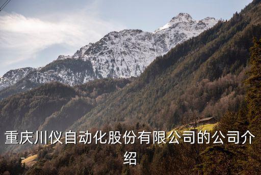 自動化公司介紹范文，貝加萊工業(yè)自動化公司的介紹