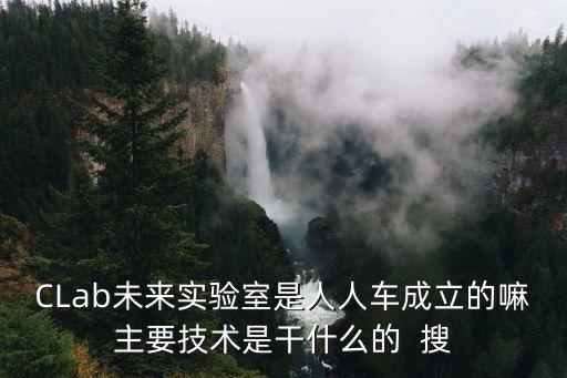 CLab未來(lái)實(shí)驗(yàn)室是人人車成立的嘛主要技術(shù)是干什么的  搜