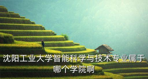 沈陽工業(yè)大學(xué)智能科學(xué)與技術(shù)專業(yè)屬于哪個學(xué)院啊