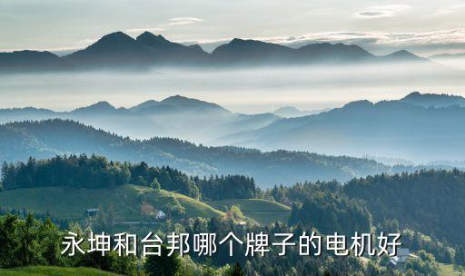 永坤和臺邦哪個牌子的電機好