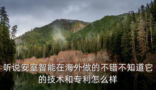 聽說安室智能在海外做的不錯(cuò)不知道它的技術(shù)和專利怎么樣