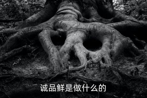 誠(chéng)品鮮是做什么的