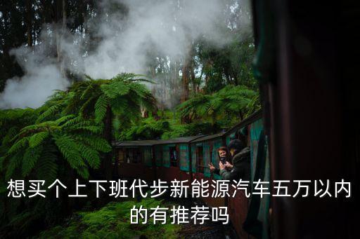 新能源代步汽車，想買個上下班代步新能源汽車五萬以內(nèi)的有推薦嗎