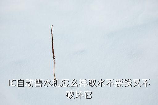 IC自動售水機(jī)怎么樣取水不要錢又不破壞它