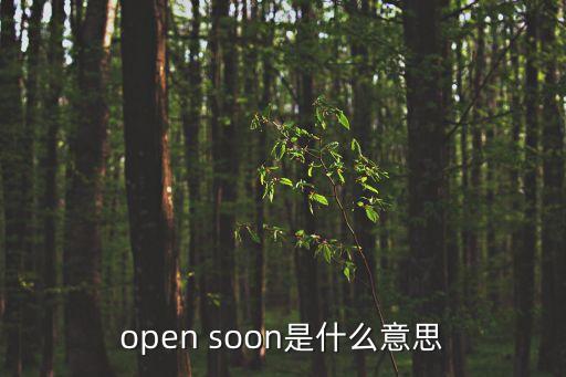 openaios，open soon是什么意思