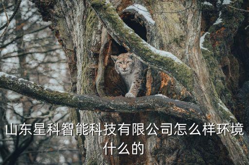 山東星科智能科技有限公司怎么樣環(huán)境什么的