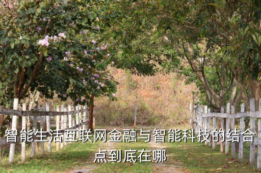 智能生活互聯(lián)網(wǎng)金融與智能科技的結(jié)合點到底在哪