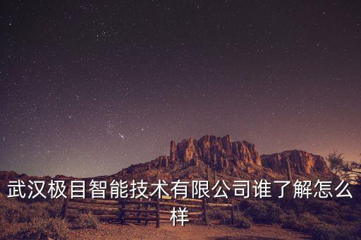 武漢極目智能技術(shù)有限公司誰了解怎么樣