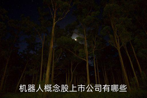 機(jī)器人公司，國(guó)內(nèi)機(jī)器人生產(chǎn)公司口碑較好的有哪些