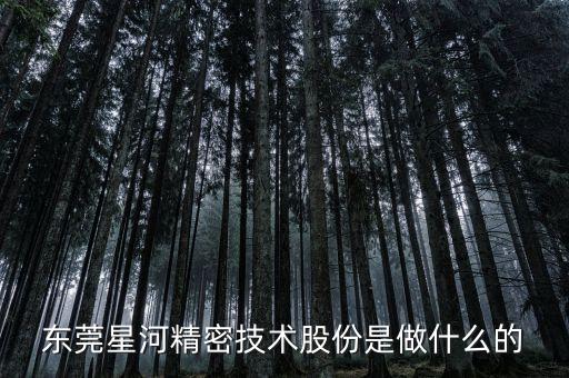 東莞星河精密技術(shù)股份是做什么的