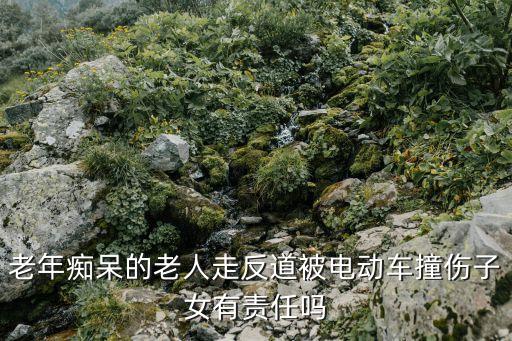 老年癡呆的老人走反道被電動車撞傷子女有責(zé)任嗎