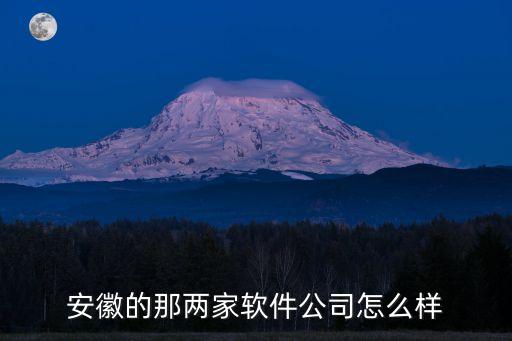 安徽的那兩家軟件公司怎么樣