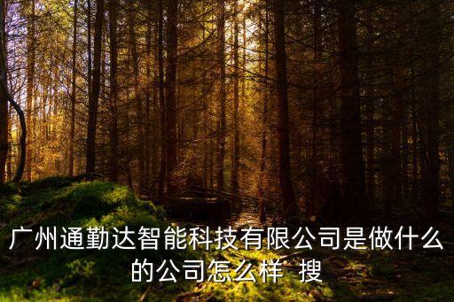 廣州通勤達(dá)智能科技有限公司是做什么的公司怎么樣  搜