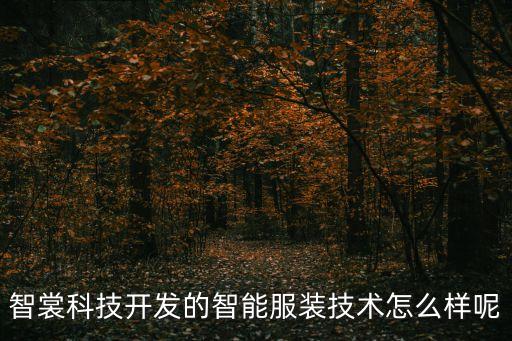 智裳科技開發(fā)的智能服裝技術(shù)怎么樣呢