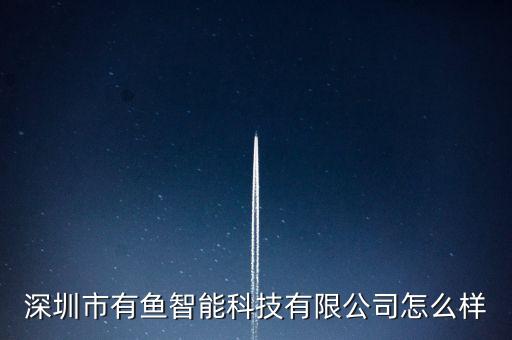深圳市有魚智能科技有限公司怎么樣