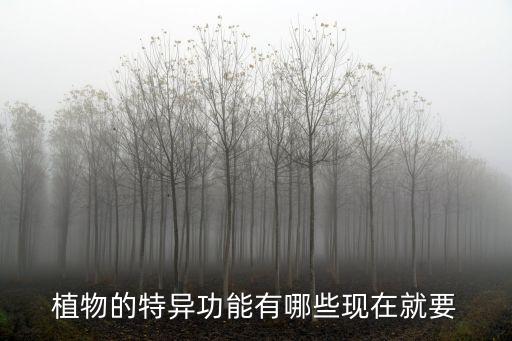 植物的特異功能有哪些現(xiàn)在就要
