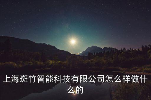 上海斑竹智能科技有限公司怎么樣做什么的