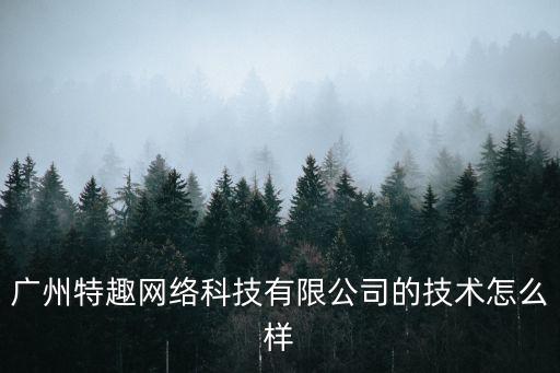 廣州特趣網(wǎng)絡科技有限公司的技術怎么樣
