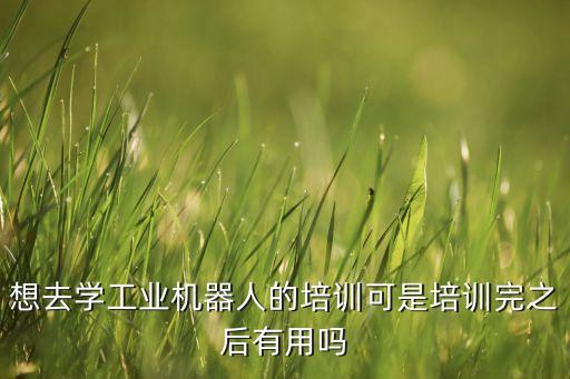 想去學工業(yè)機器人的培訓可是培訓完之后有用嗎