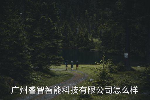 廣州睿智智能科技有限公司怎么樣
