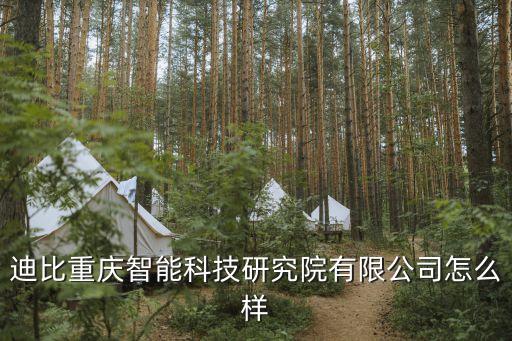 迪倫智能科技怎么樣，迪比重慶智能科技研究院有限公司怎么樣