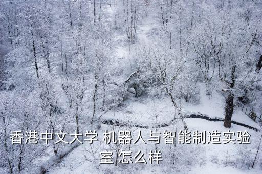 香港中文大學 機器人與智能制造實驗室 怎么樣