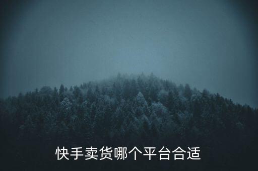 快手賣貨哪個平臺合適