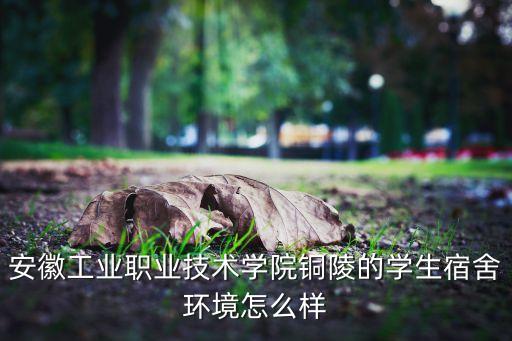安徽工業(yè)職業(yè)技術(shù)學(xué)院銅陵的學(xué)生宿舍環(huán)境怎么樣